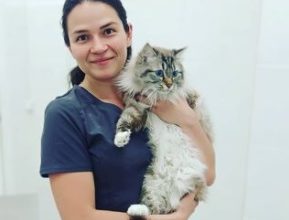Ветеринарный эксперт сайта